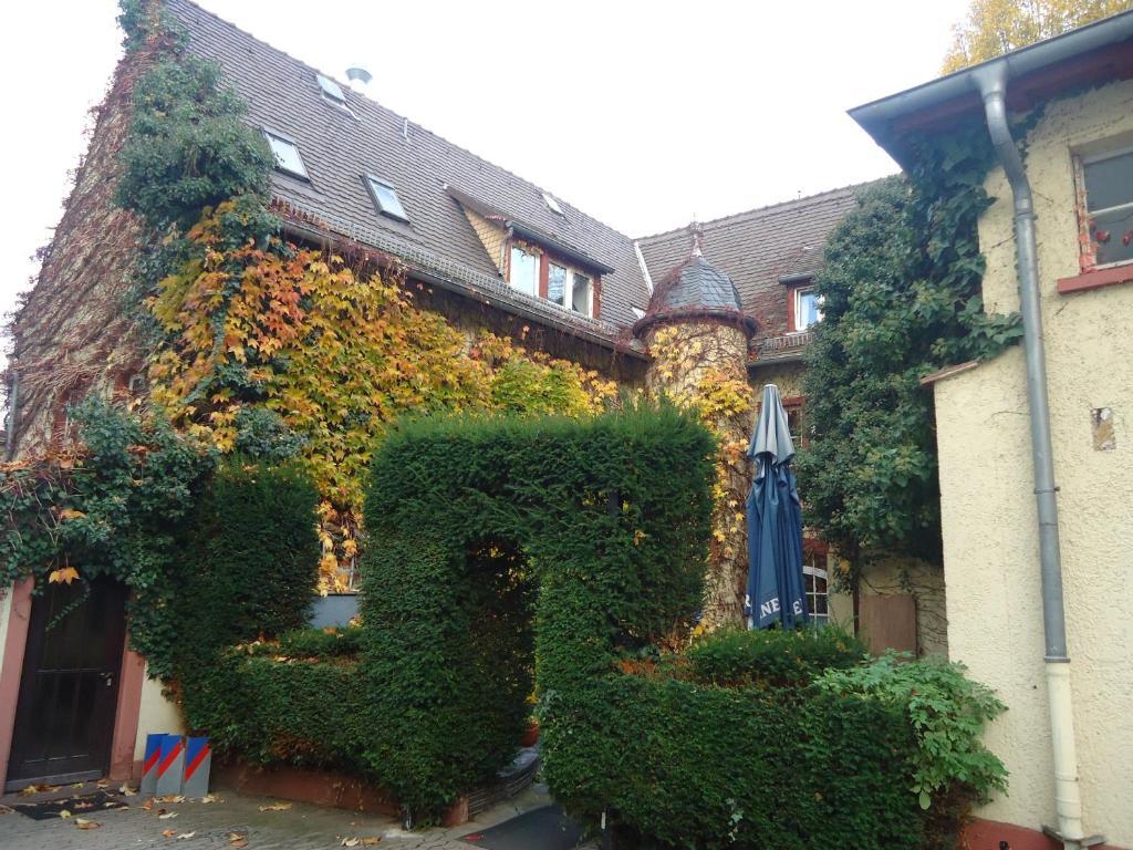 Hotel Burg-Stuben Mainz Eksteriør billede